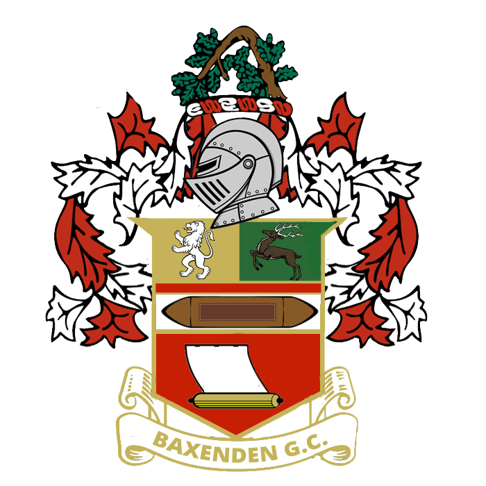 Logo 7