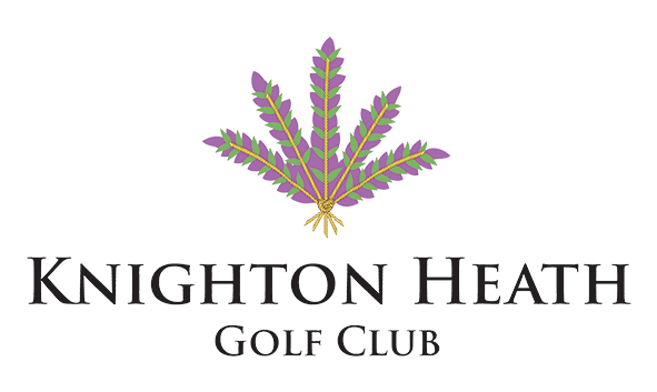 Logo 28