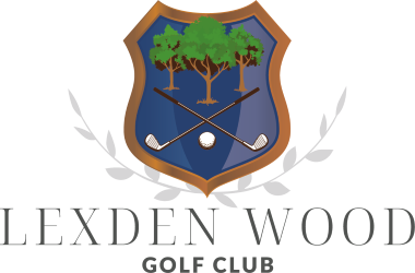Logo 30